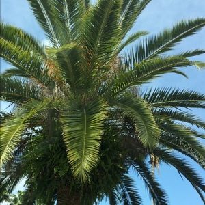 Meet your Posher, Kaitlyn